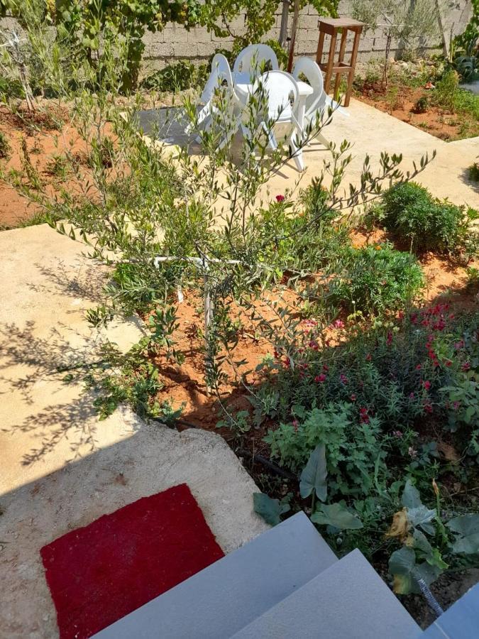 Rey Garden Villa Vlorë Eksteriør bilde