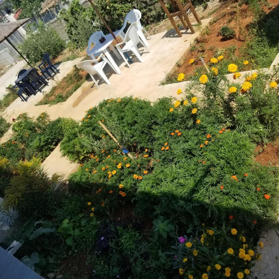 Rey Garden Villa Vlorë Eksteriør bilde